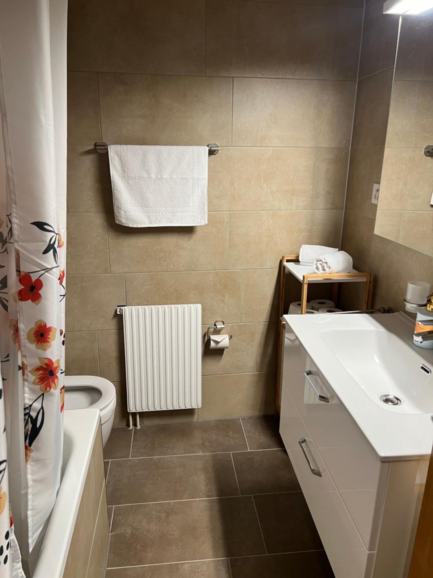 Apartament Rosy 因特拉肯 外观 照片