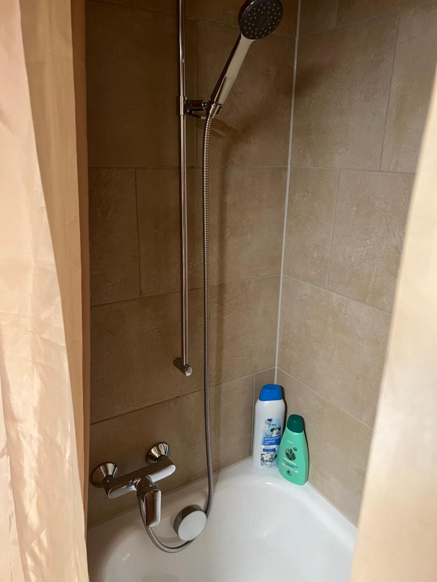 Apartament Rosy 因特拉肯 外观 照片