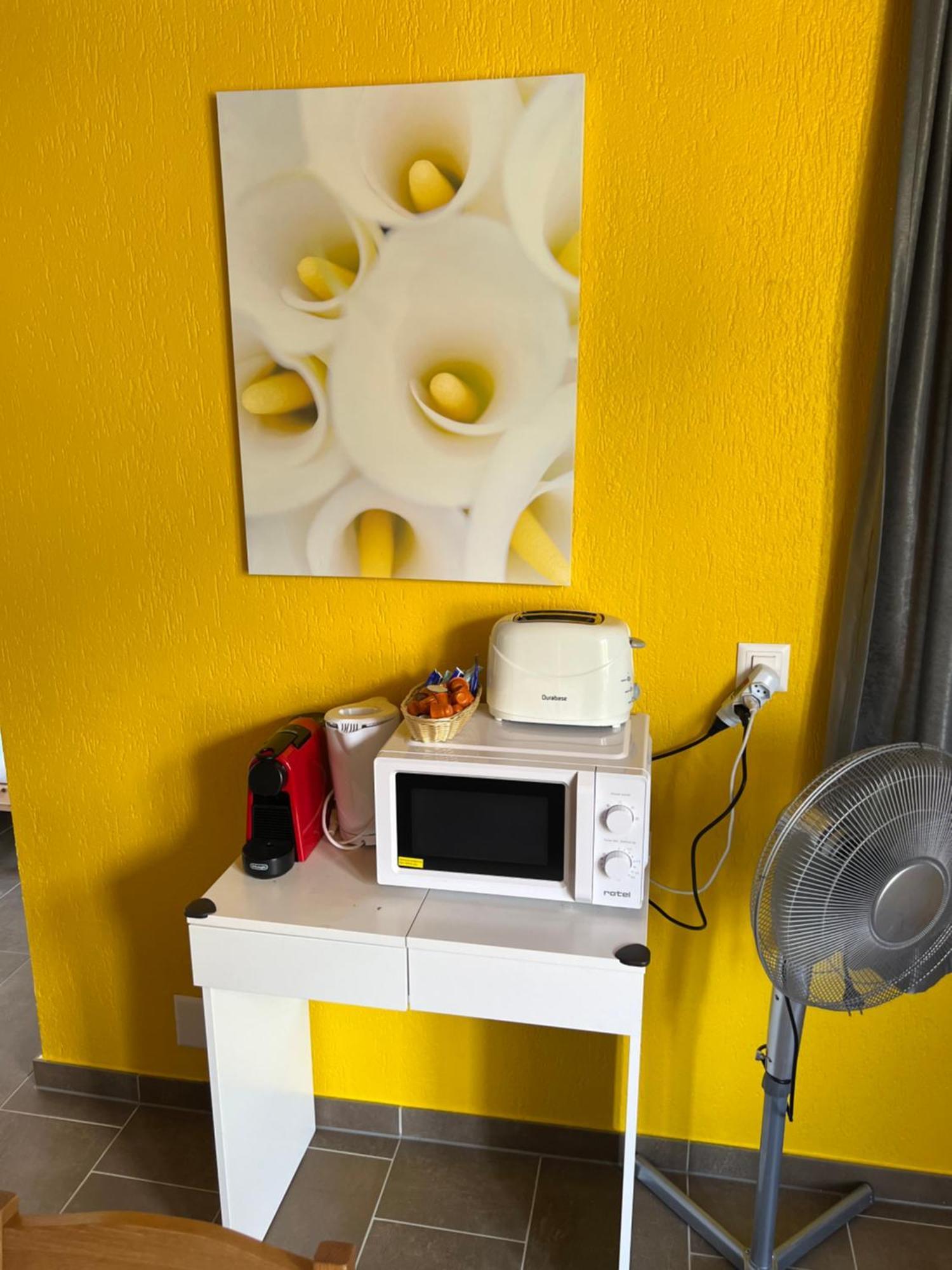Apartament Rosy 因特拉肯 外观 照片