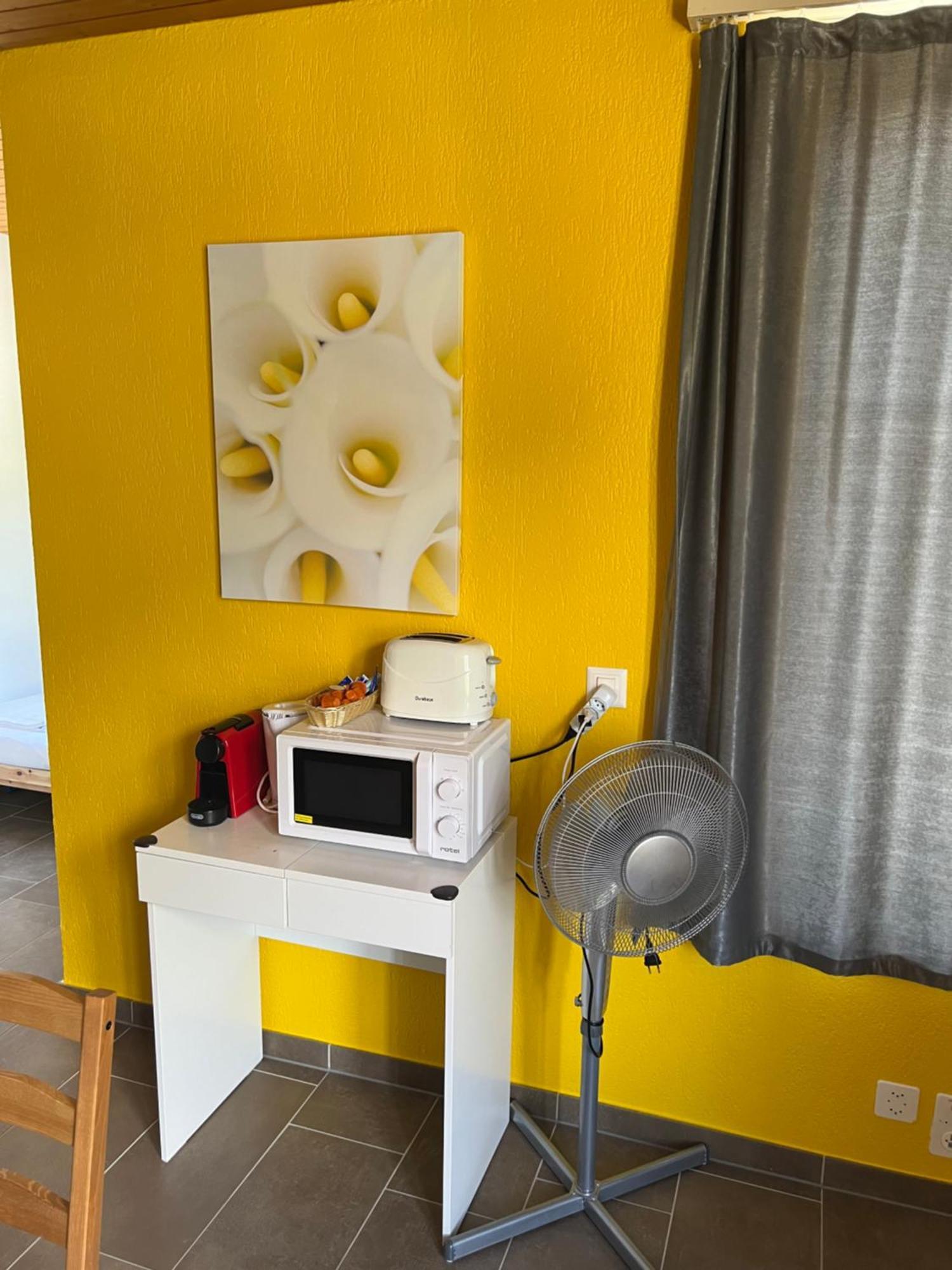 Apartament Rosy 因特拉肯 外观 照片