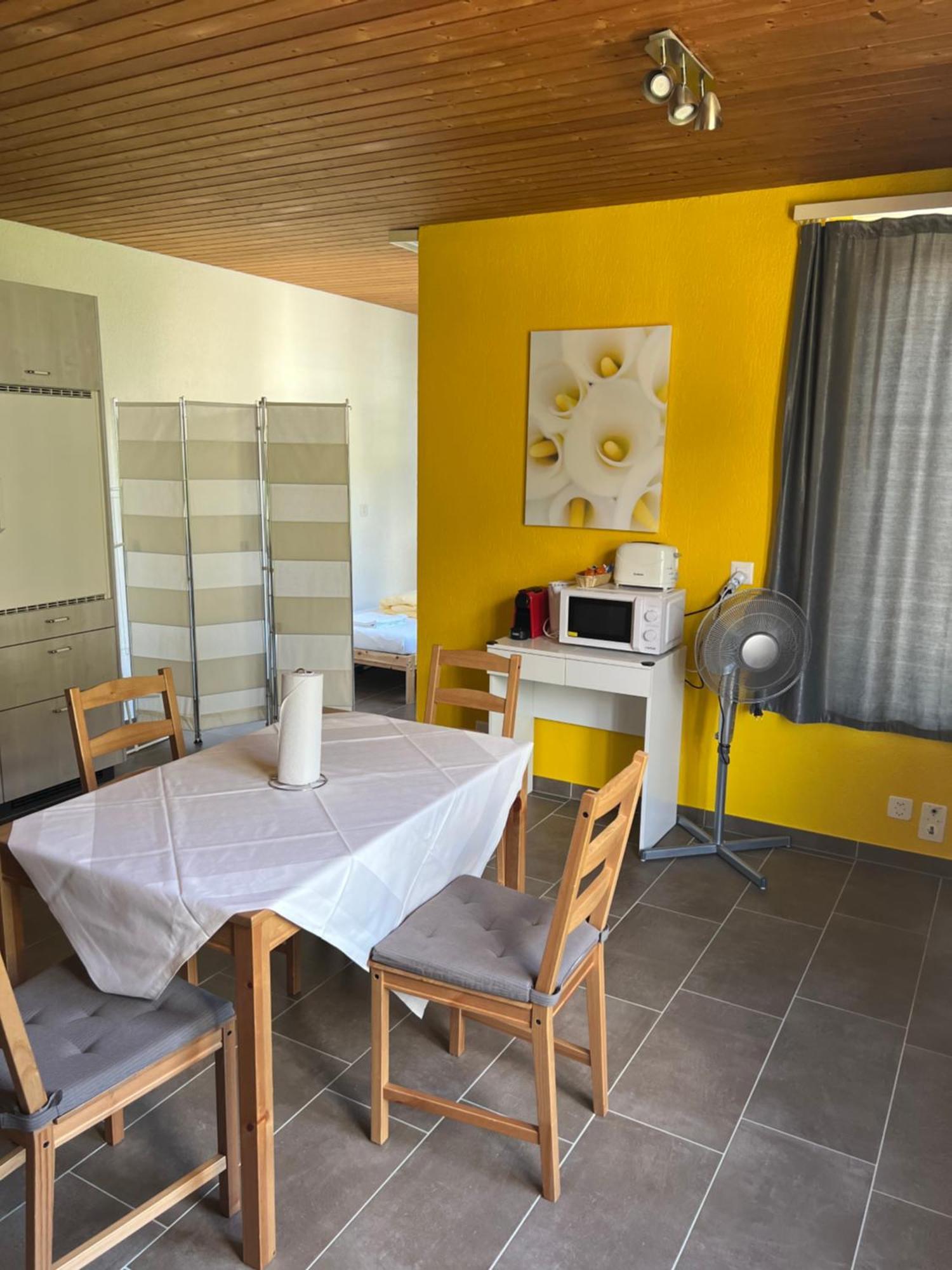 Apartament Rosy 因特拉肯 外观 照片