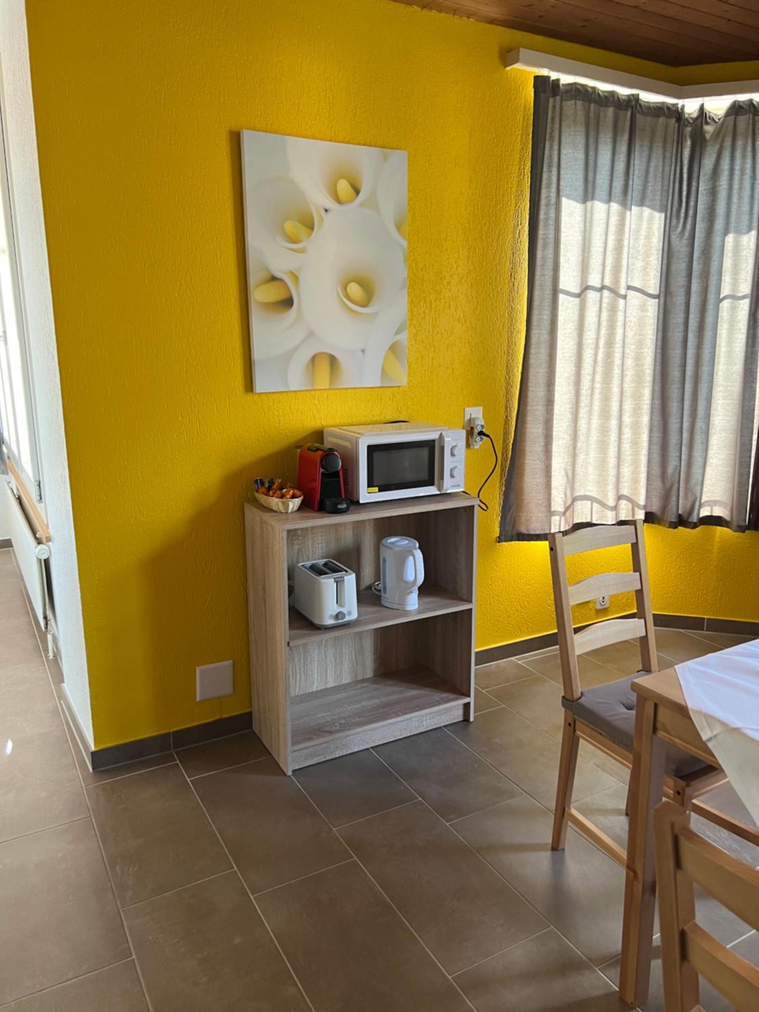 Apartament Rosy 因特拉肯 外观 照片