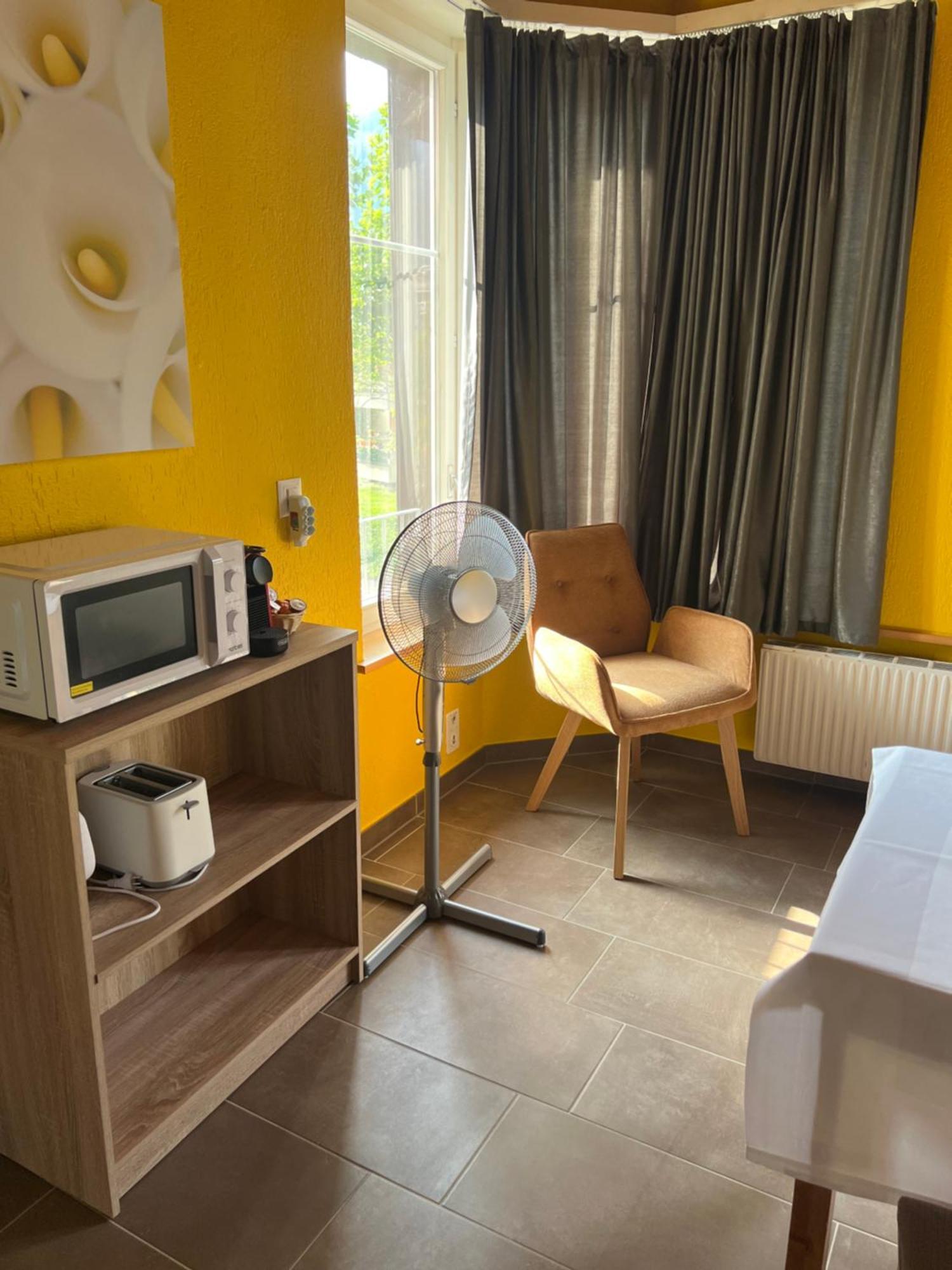 Apartament Rosy 因特拉肯 外观 照片